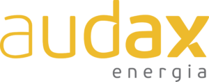 Logo_Audax_Energia_(sin_acento)_gris